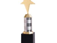 Star Metal Trophy